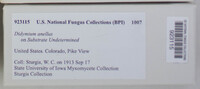 Image Associated With the Occurence